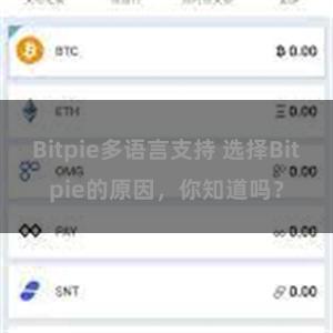 Bitpie多语言支持 选择Bitpie的原因，你知道吗？