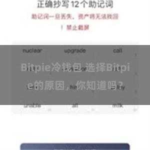 Bitpie冷钱包 选择Bitpie的原因，你知道吗？