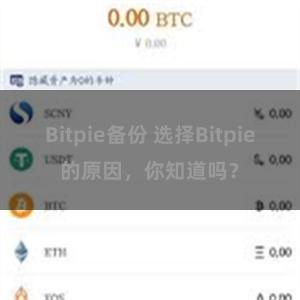 Bitpie备份 选择Bitpie的原因，你知道吗？