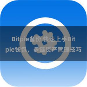 Bitpie备份 快速上手Bitpie钱包，多链资产管理技巧