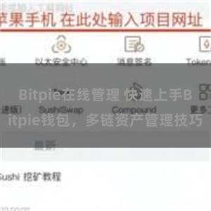 Bitpie在线管理 快速上手Bitpie钱包，多链资产管理技巧