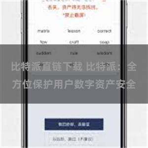 比特派直链下载 比特派：全方位保护用户数字资产安全