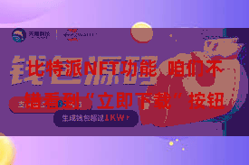 比特派NFT功能 咱们不错看到“立即下载”按钮