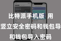 比特派手机版  用户需要竖立安全密码和钱包导入密码