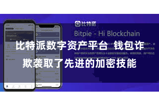 比特派数字资产平台  钱包诈欺袭取了先进的加密技能